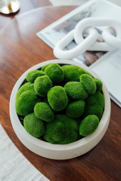 Moss in Round Vase