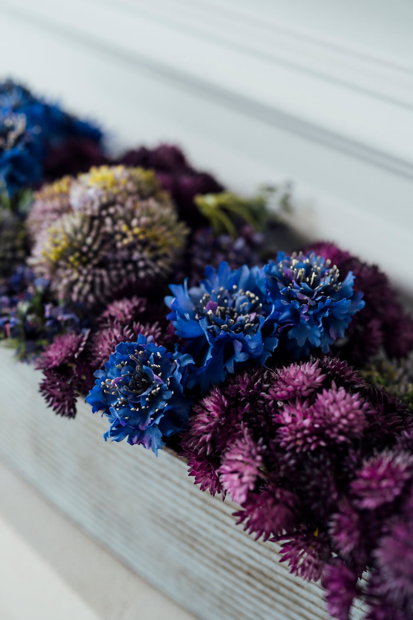 Sedum in Tin Container with Cornflower and Queen Lace