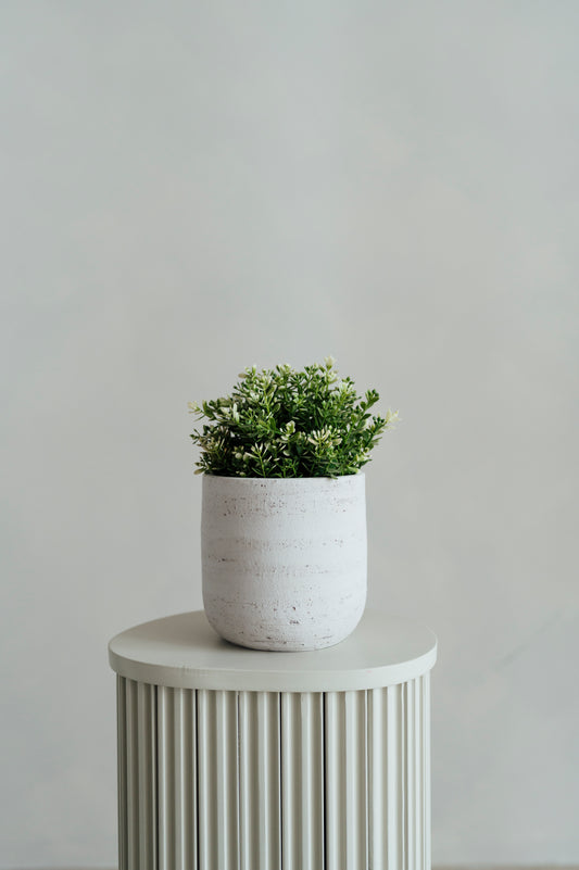 Greenery Plant Mini